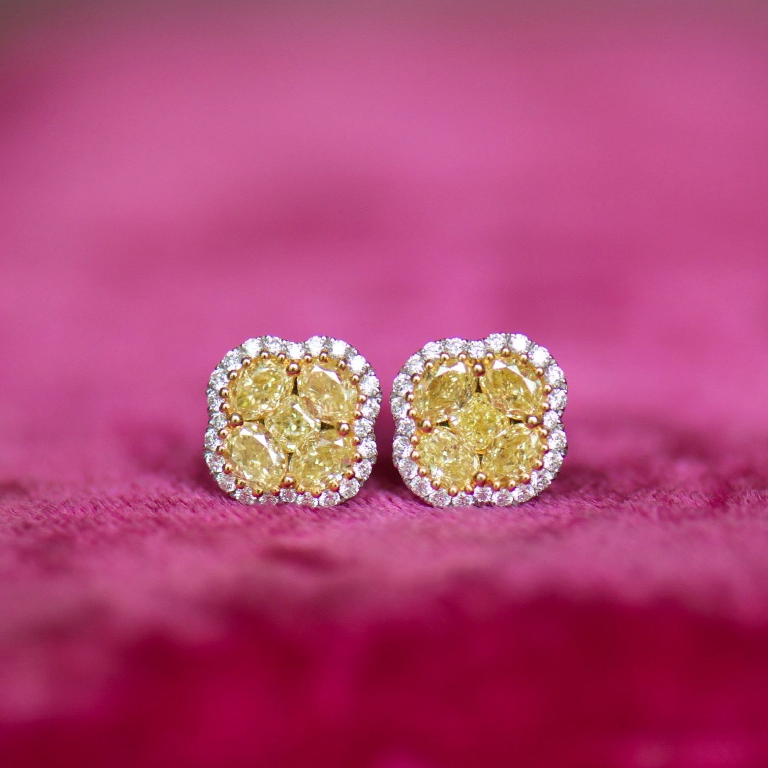 Yellow Diamond Studs