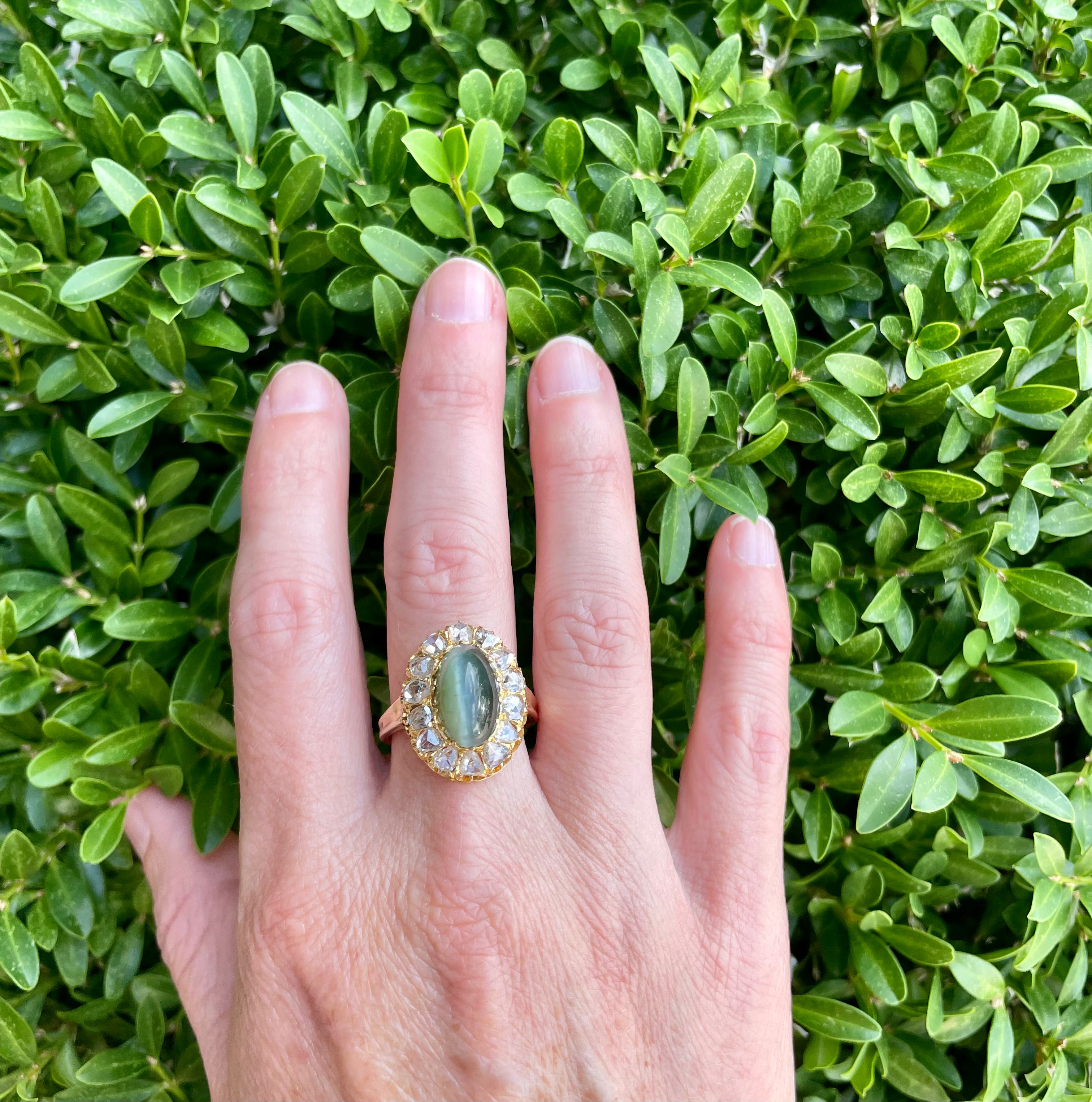 Cats Eye Tourmaline and Diamond Ring