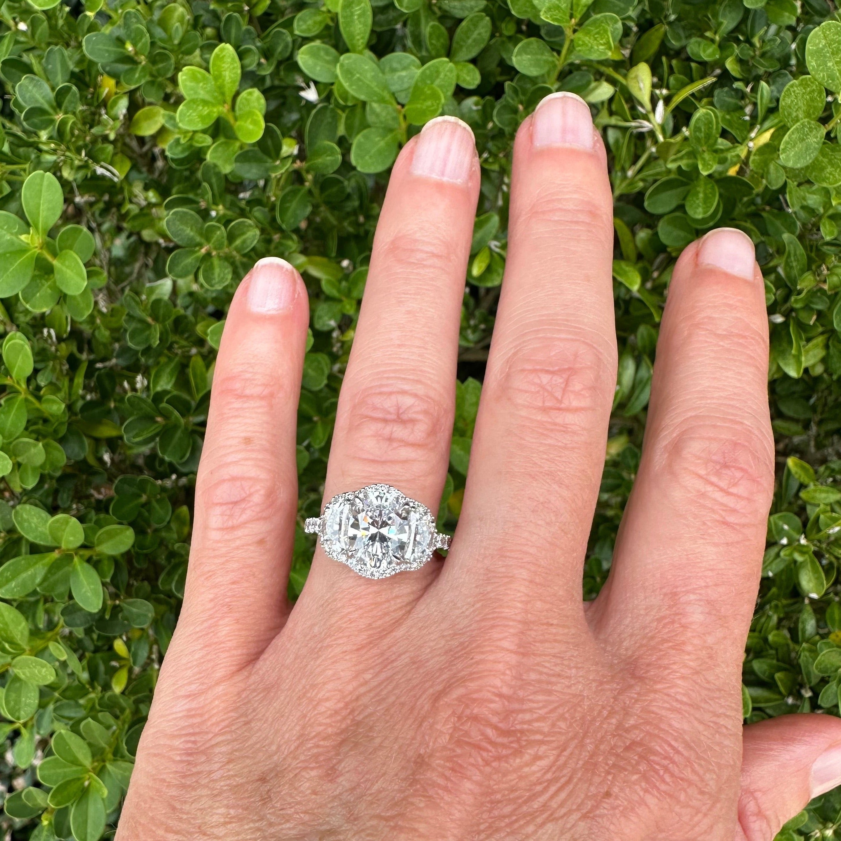 Platinum Three Stone Diamond Halo Ring